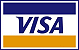 Carta di Credito Visa Accettata